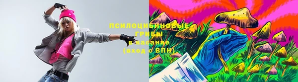 прущие грибы Касимов