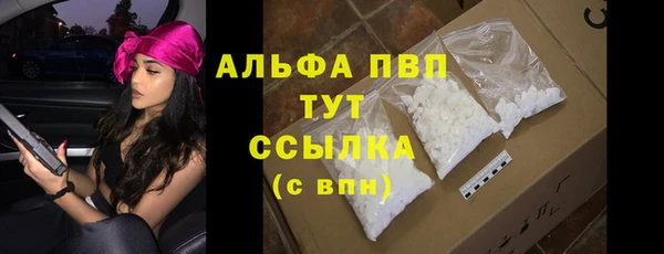 прущие грибы Каменка