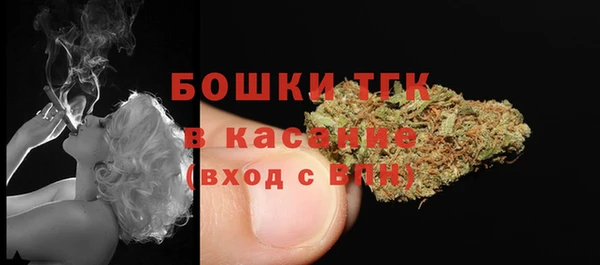 гидропоника Карталы