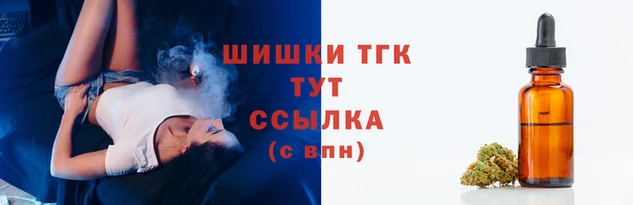 прущие грибы Каменка