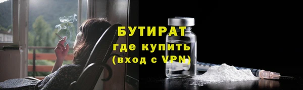 прущие грибы Каменка