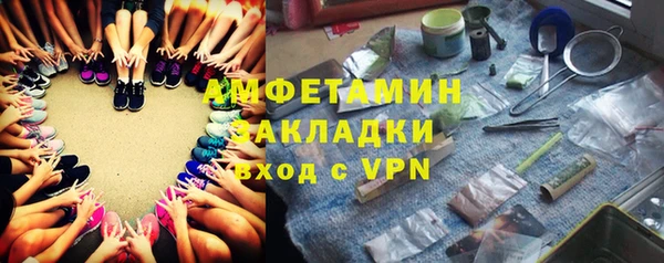прущие грибы Каменка