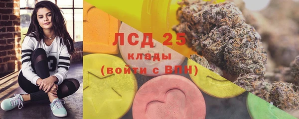 гидропоника Карталы