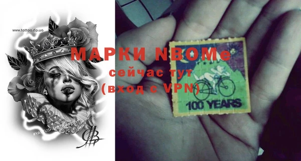 прущие грибы Каменка