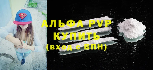 прущие грибы Касимов