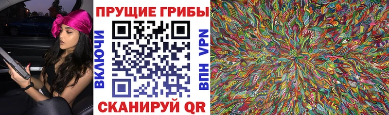 Псилоцибиновые грибы Psilocybine cubensis  Купить где  Нелидово 